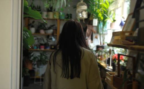 plant